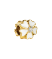 یگانه پاک