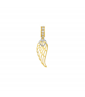 بال پرواز من